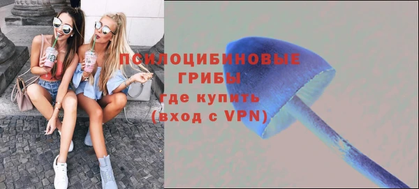 PSILOCYBIN Волосово