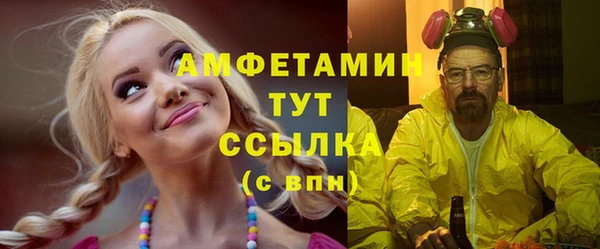 гашик Горняк