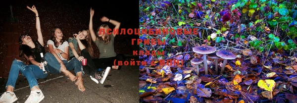 PSILOCYBIN Волосово