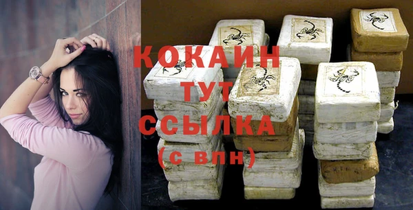 гашик Горняк