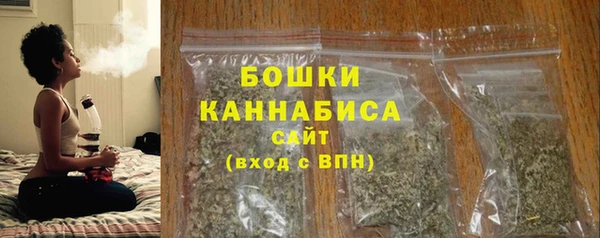 хмурый Горно-Алтайск