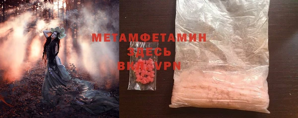 PSILOCYBIN Волосово