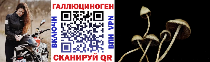 Псилоцибиновые грибы Psilocybe OMG сайт Зуевка наркотики